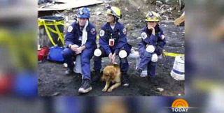 Illustration for article titled 9/11's Last Surviving Search Dog Goes on Today, Tears Ensue